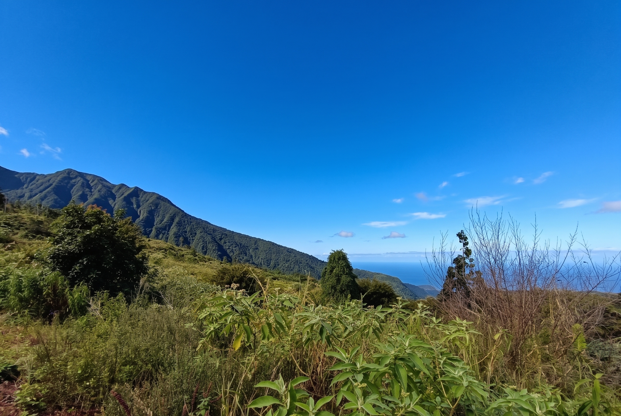 Terrain à vendre à St joseph, 60 900 m² – photo 2 sur 3