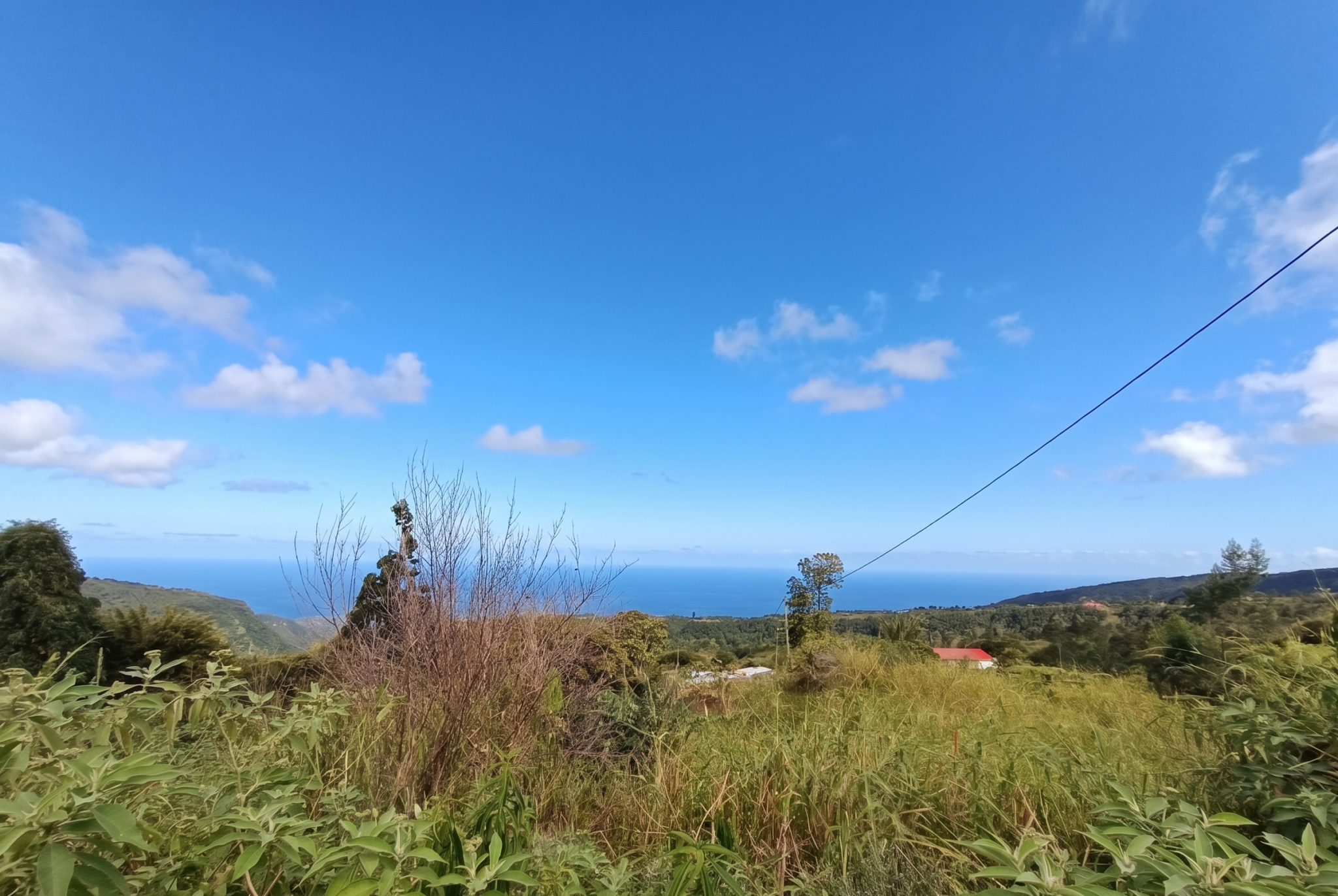 Terrain à vendre à St joseph, 60 900 m² – photo 3 sur 3