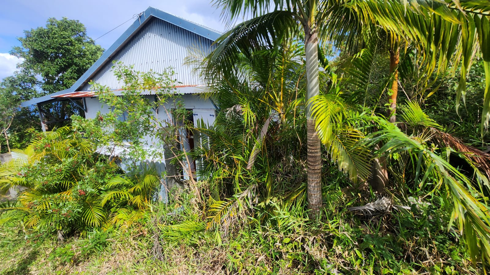 MAISON F3 SUR UN TERRAIN DE 497 M2 / VINCENDO